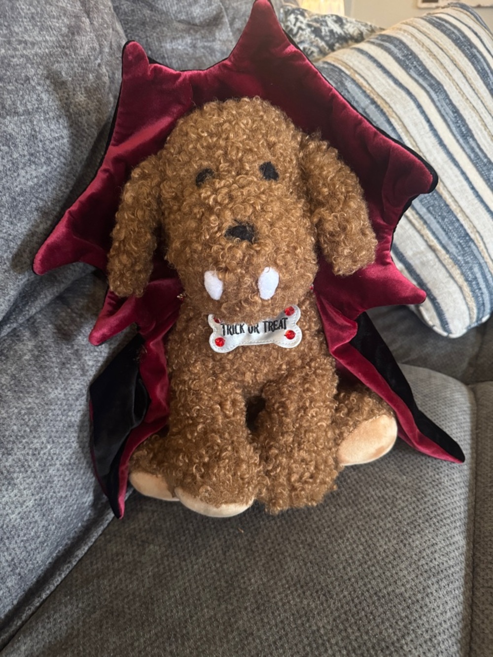 Pottery Barn Dante the Dracula Dog